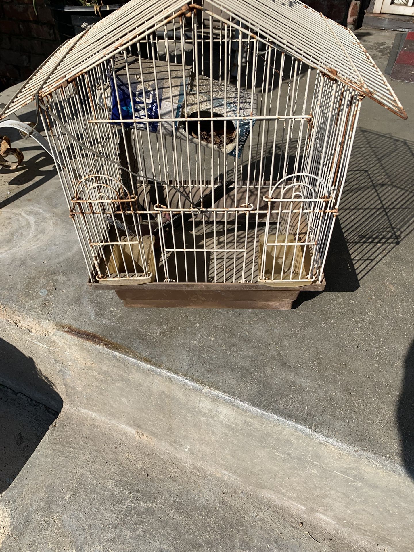 Bird Cage It Needs Clean Up Very Cute