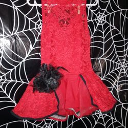 Halloween Costume Dress