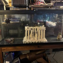 55 gallon aquarium and accessories