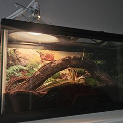 20 Gallon Tank