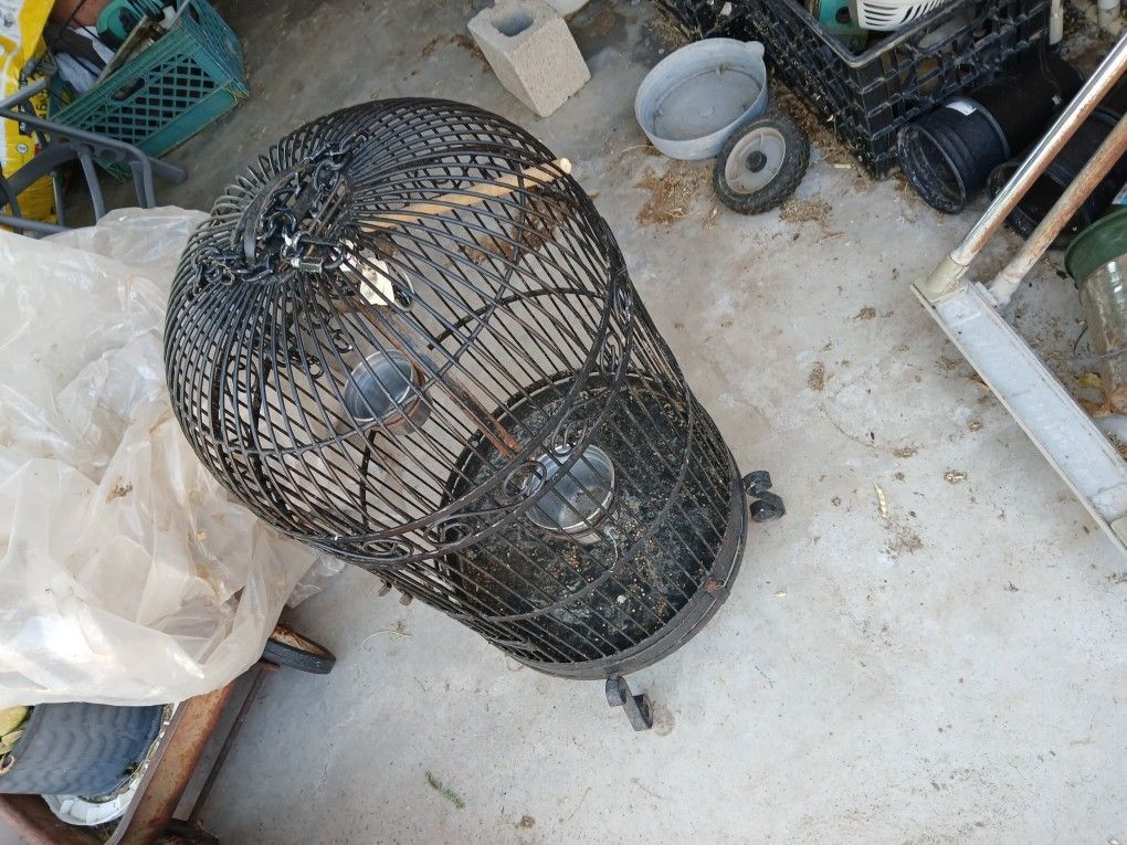 Bird Cage W Extras