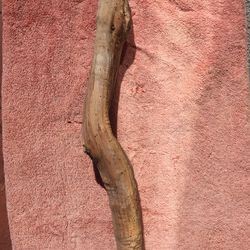 Parrot Perch