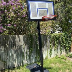 Basketball Hoop