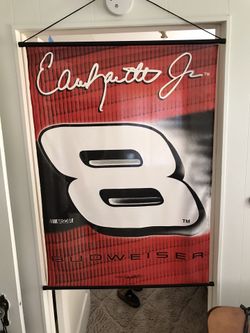 Dale Jr Flag
