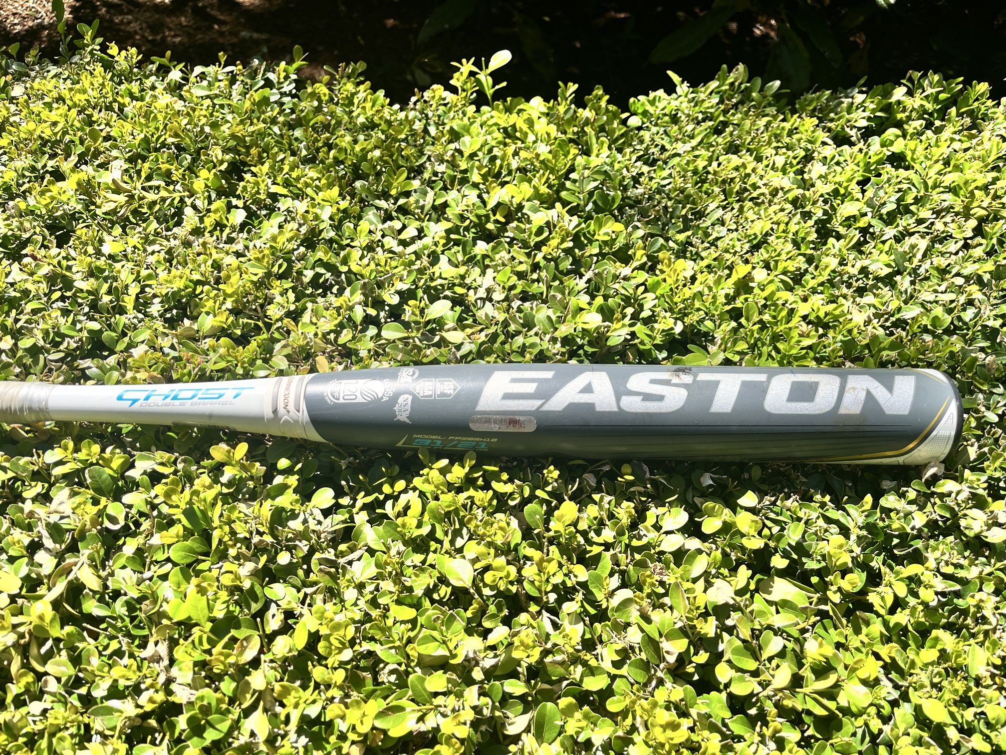 31in Easton Ghost Softball Bat