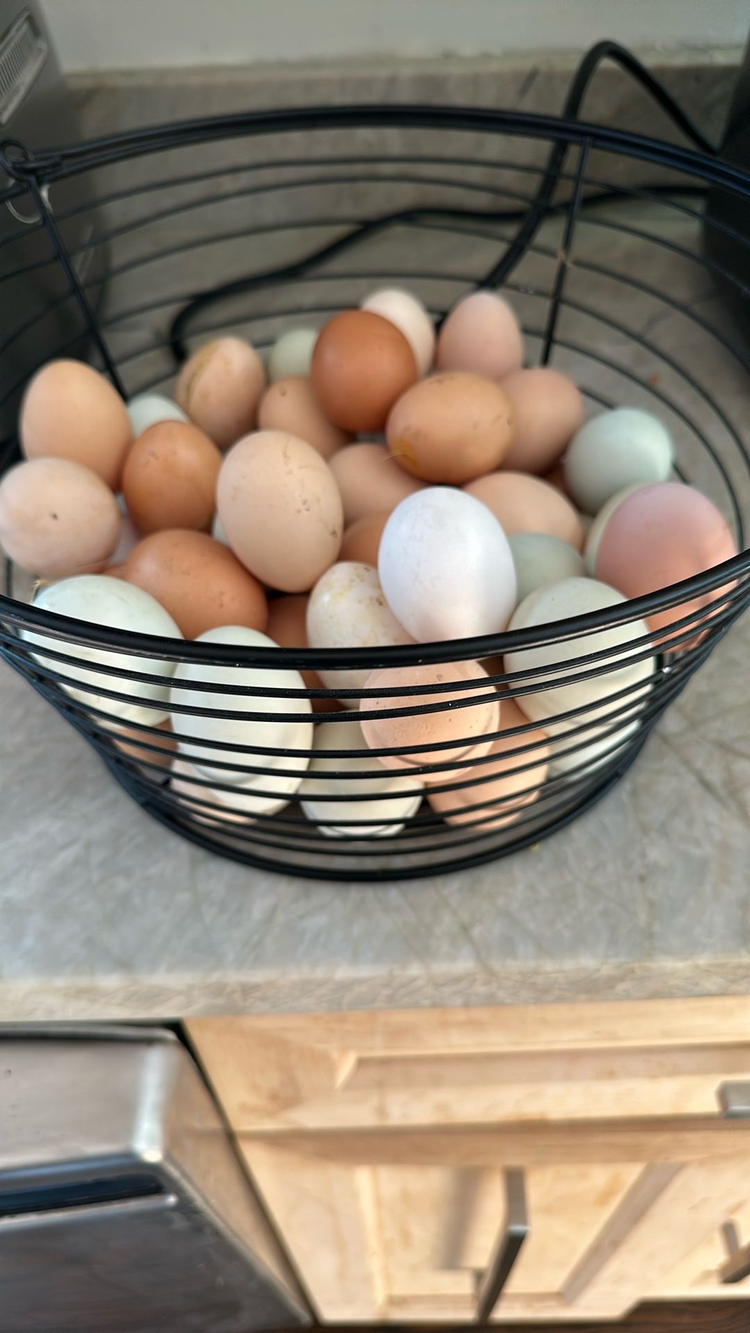 organic Eggs