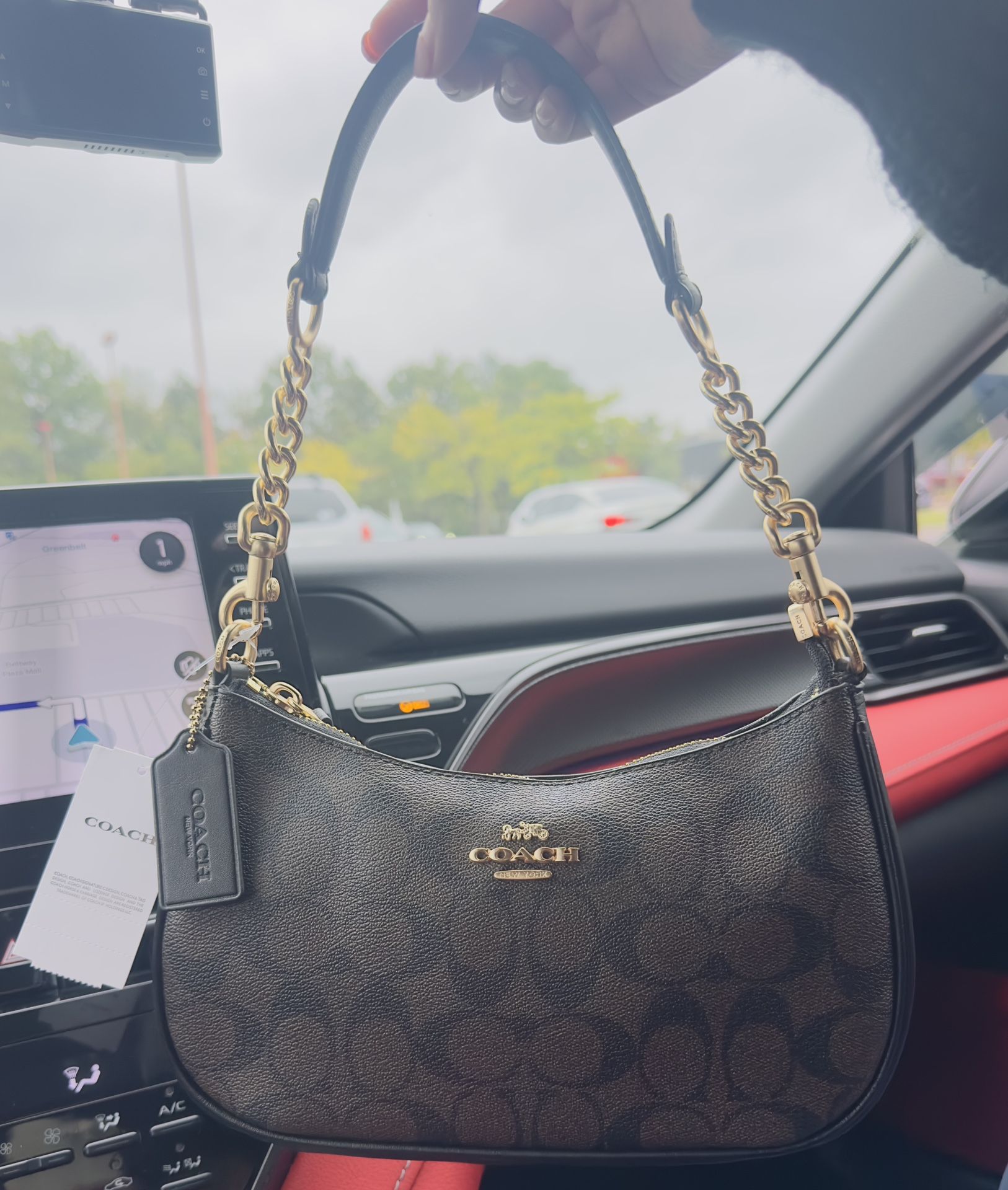 Coach Terri Shoulder Bag (Brown w/ Gold Hardware)