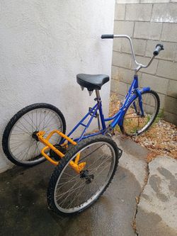Adult Tricycle