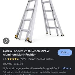 Multi Ladder An Standing Platform 