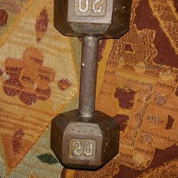 20lb Weight Dumbell