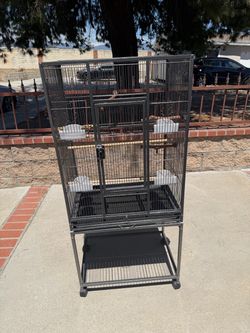Bird Cage