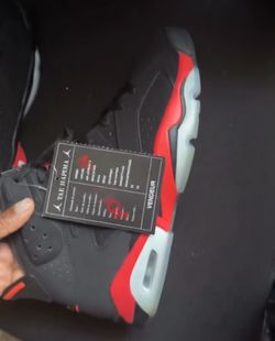 Jordan 6
