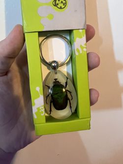 Insect keychain