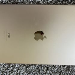 iPad Air 2 With Case No Charger
