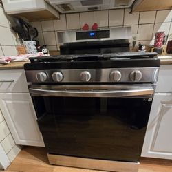 Samsung - 6.0 cu. ft. Freestanding Gas Range
