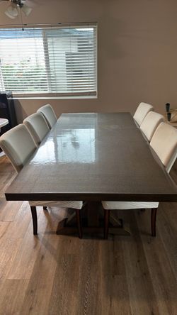 Dining Chairs