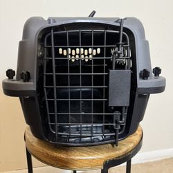 Small Dog/Cat Airline Travel Carrier 