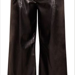 PLT Leather Pants