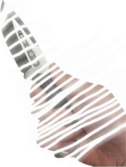 Kitchen Knife
