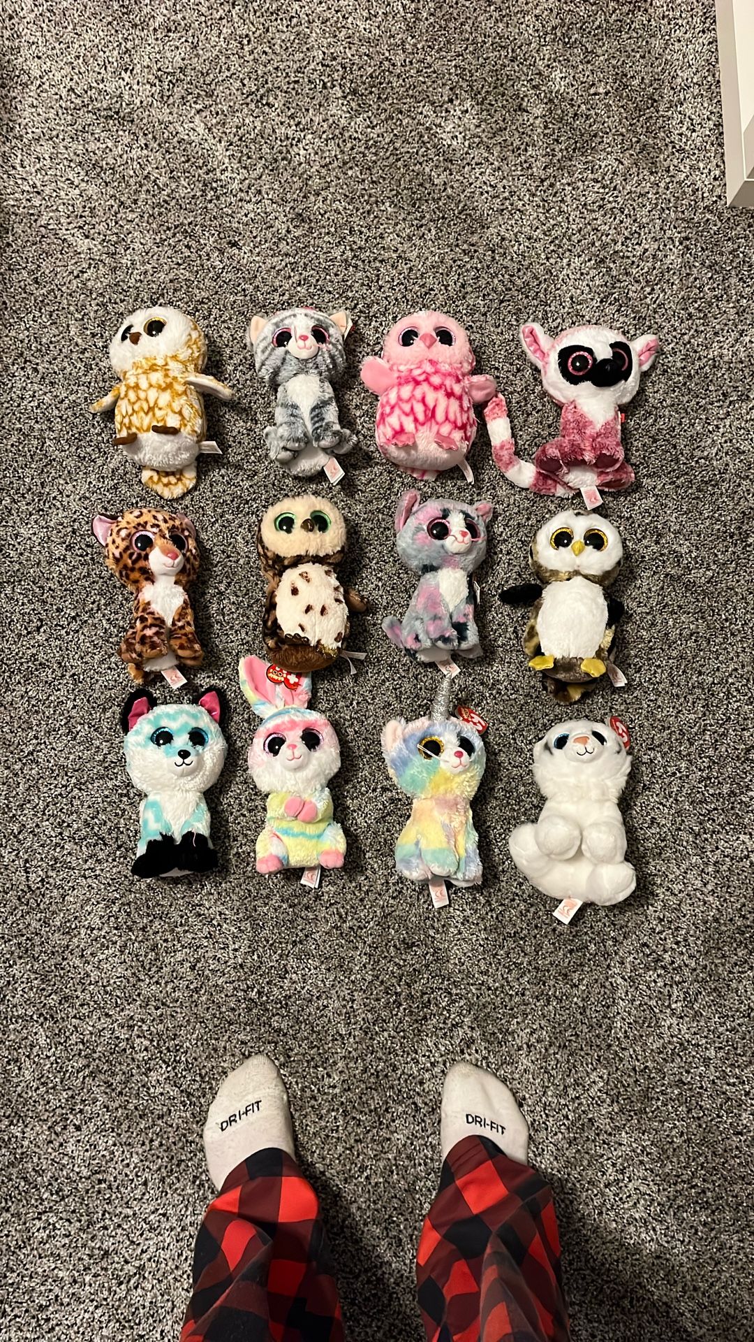 Beanie Boo Bundle