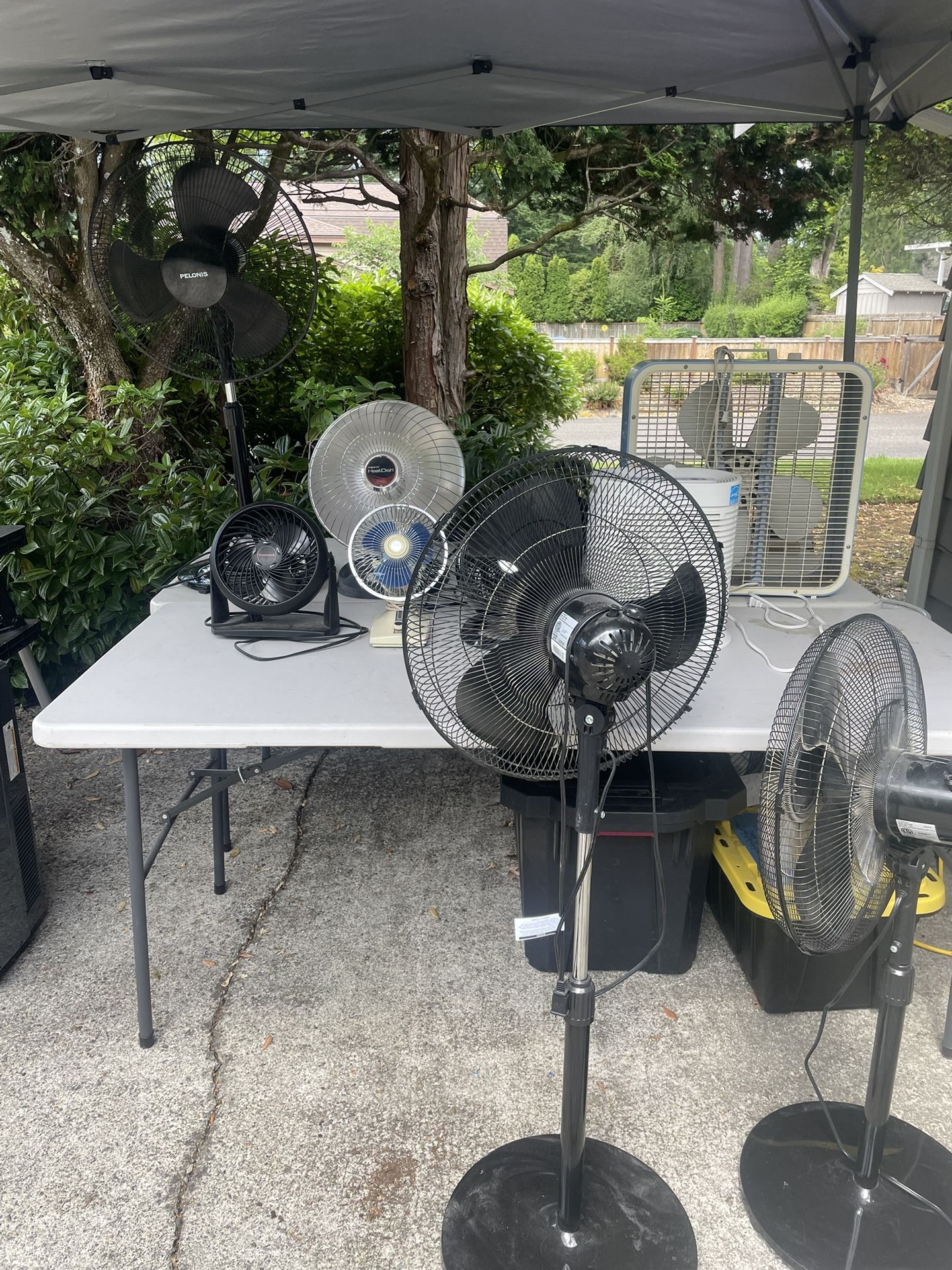 Fans Galore