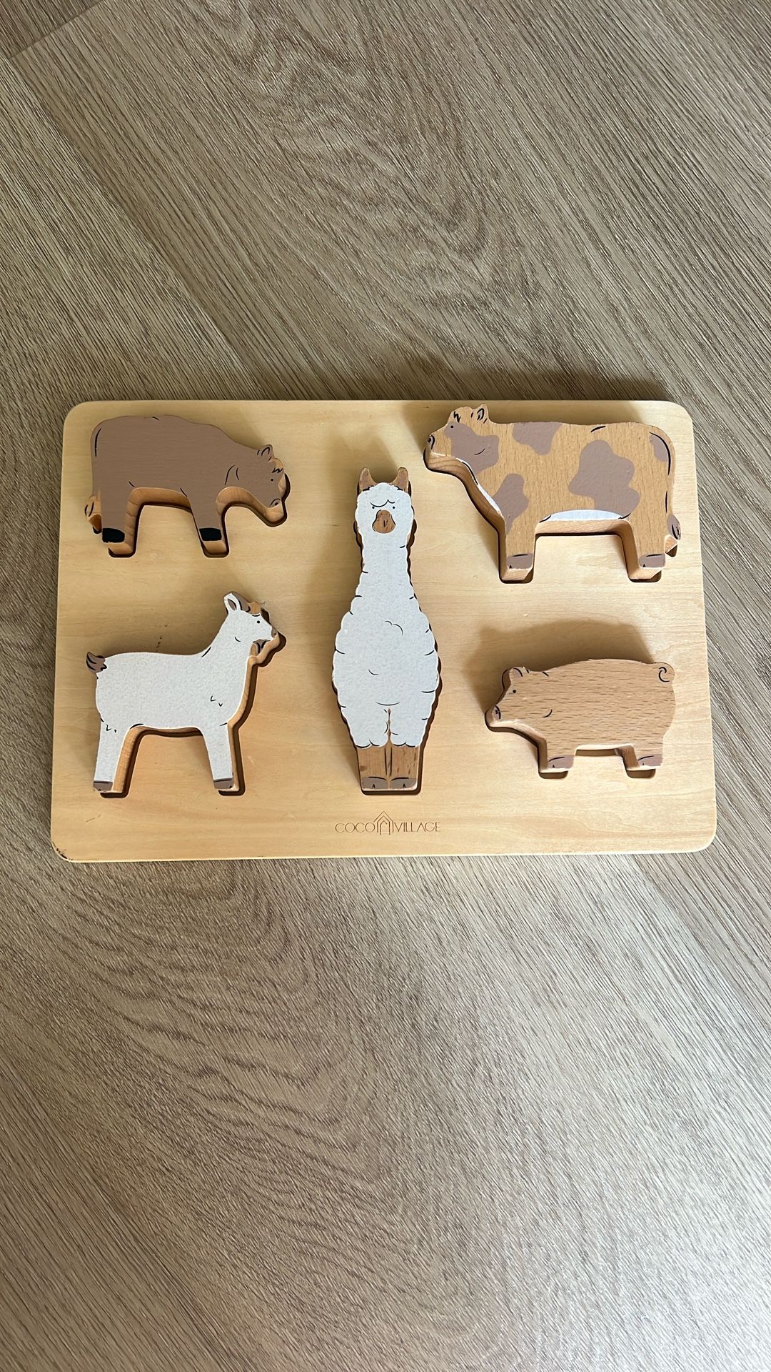 Wooden Puzzle