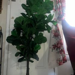 Fake Plant 