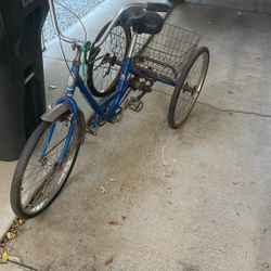 Miami Sun Tricycle 
