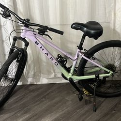 Haro Mountain Bike 