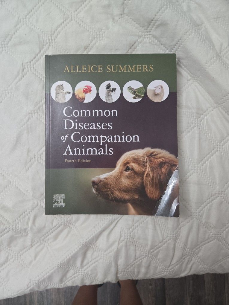 Common Diseases Of Companion Animals