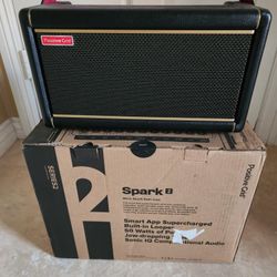 Positive Grid Spark 2