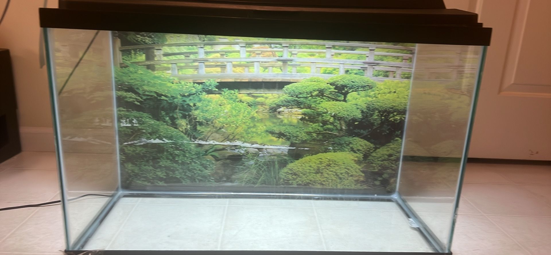40 Gallon Tank