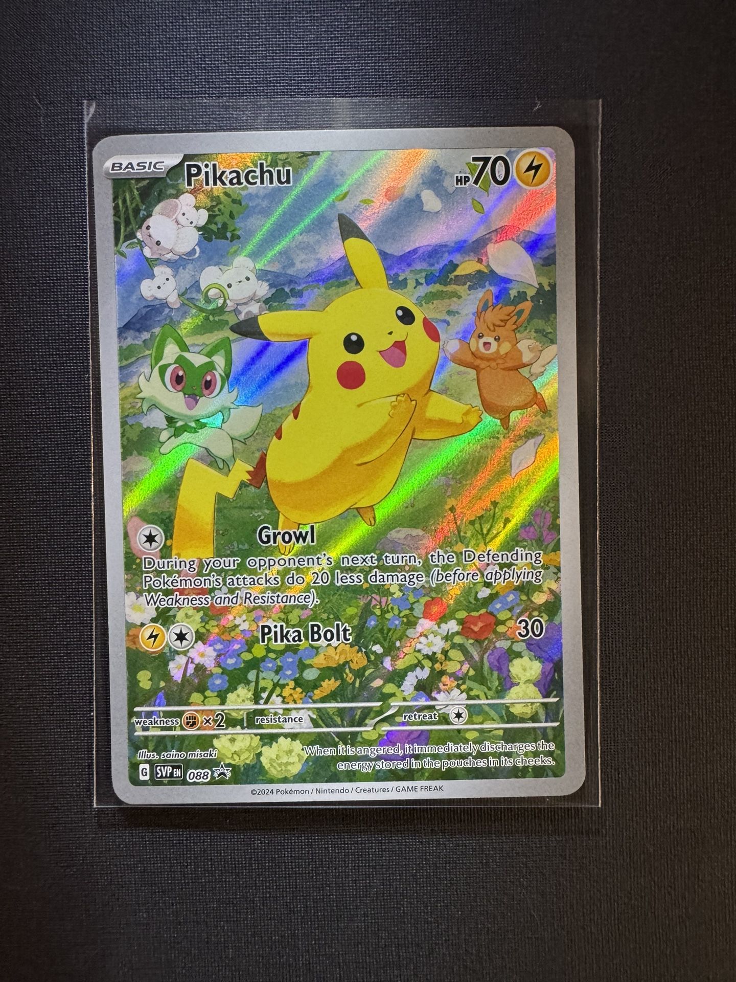 Pikachu Pokemon Cards
