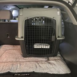 Airline Dog Carrier 