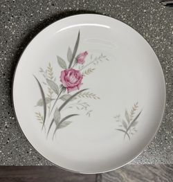 Dinner plate