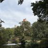 Scherbatsky