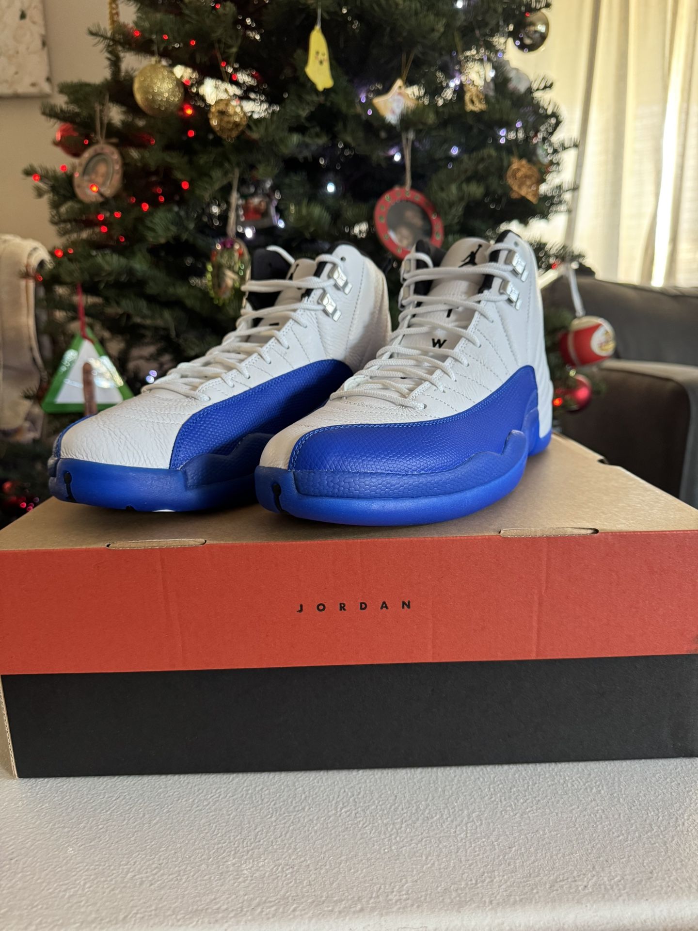 Jordan 12 “Blueberry” Size 12.5
