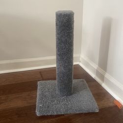 Grey cat scratcher
