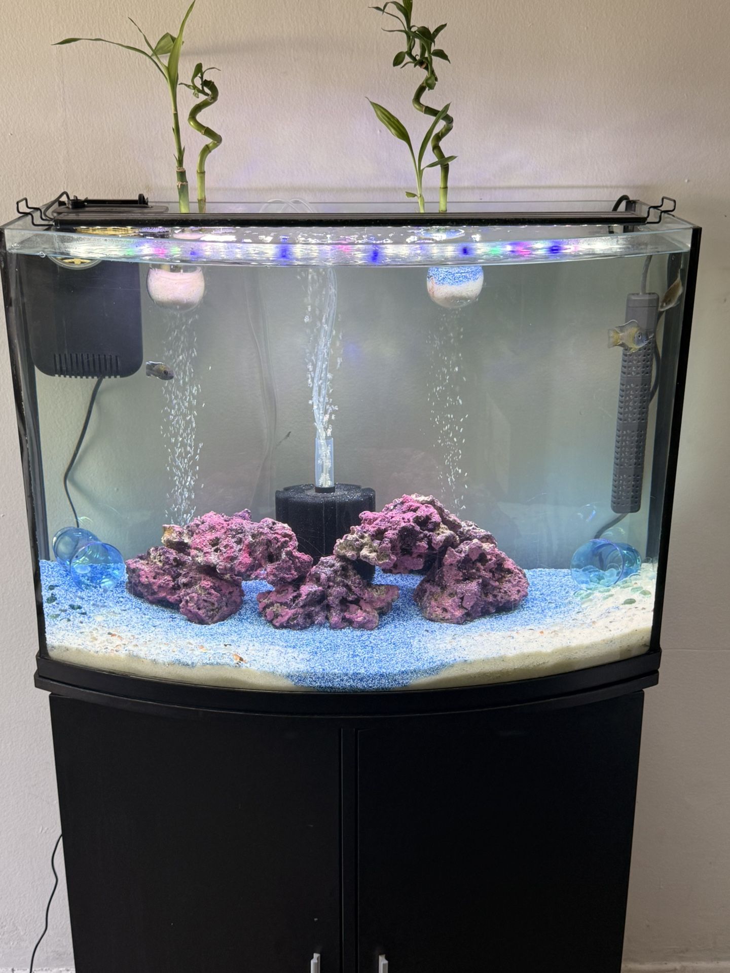 36 Gallon Bow Front Fish Tank And Stand 