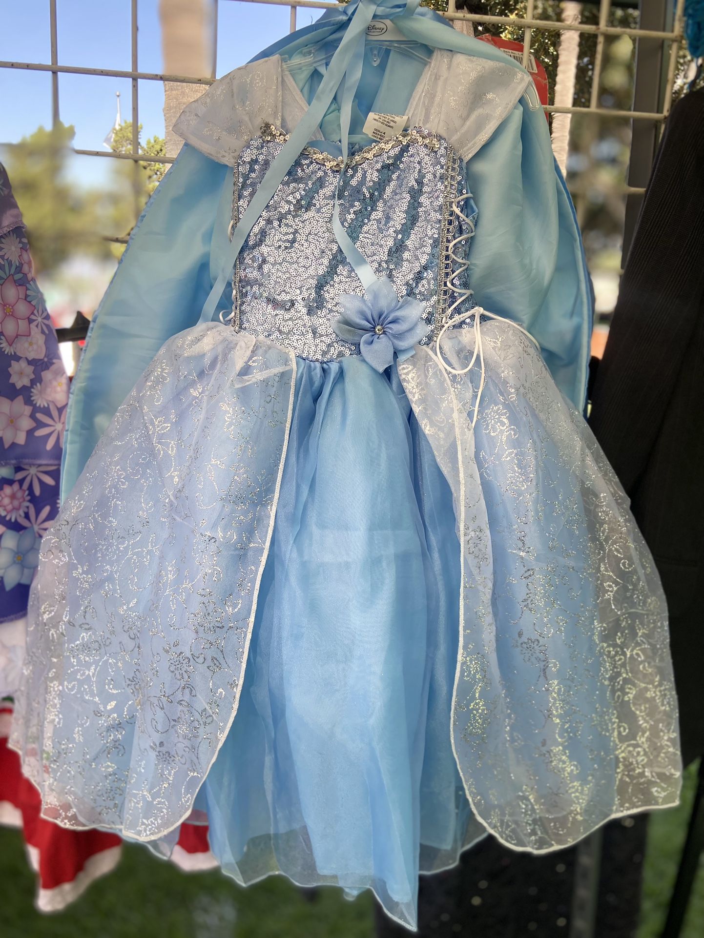Cinderella/Elsa