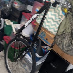 Big Flyer Se Bike 29’