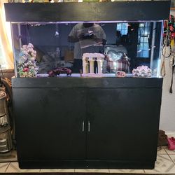 Complete system Fishtank 55 gallon