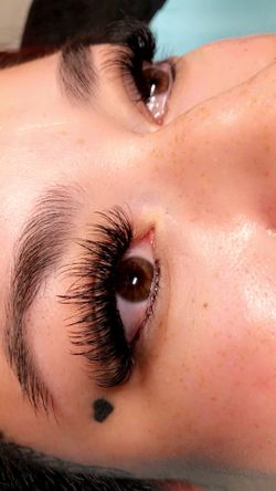 Little Miss Lashes
