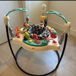 Fisher jumperoo