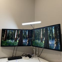 Asus Gaming Monitors Dual 2HD Display 