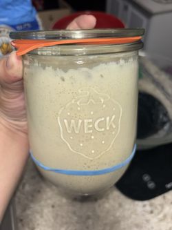 Sourdough Starter
