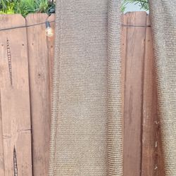 Two Sun Shade 
