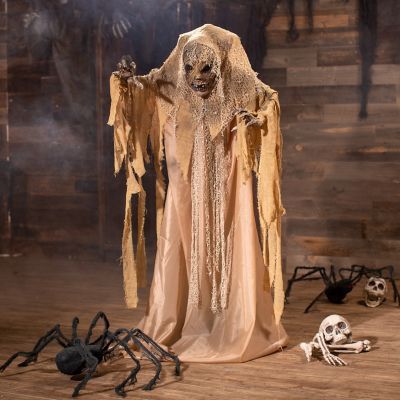5' Animated Shaking Mummy Standing Halloween Decoration (Oriental Trading Company)