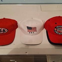 USA Snap Backs