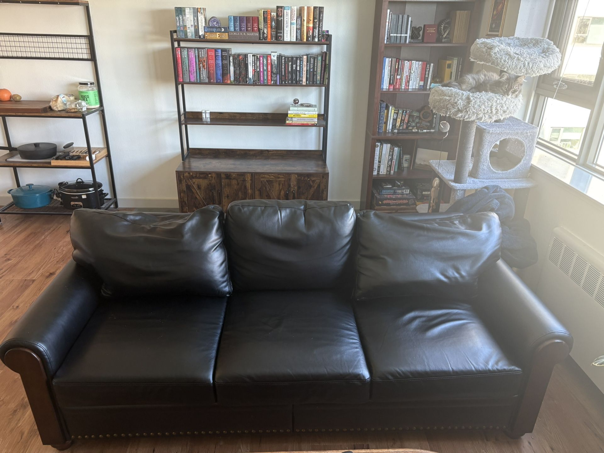 Black Faux Leather Couch
